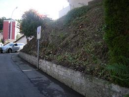 Click to enlarge Highslide JS