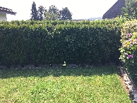 klicken zum vergrössern Highslide JS