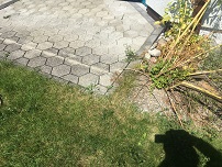 Highslide JS